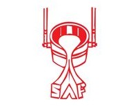 Southern Alloy Foundries logo